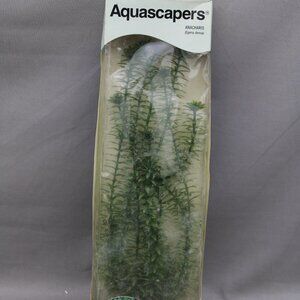 Vintage Aquarium Plant - Anacharis by Aquascapers - New In Package